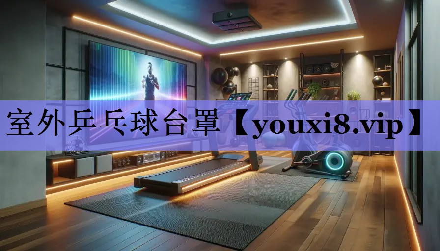 室外乒乓球台罩