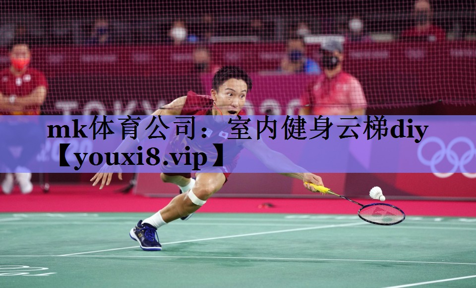 mk体育公司：室内健身云梯diy