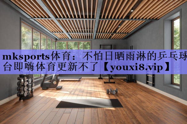 mksports体育：不怕日晒雨淋的乒乓球台即嗨体育更新不了