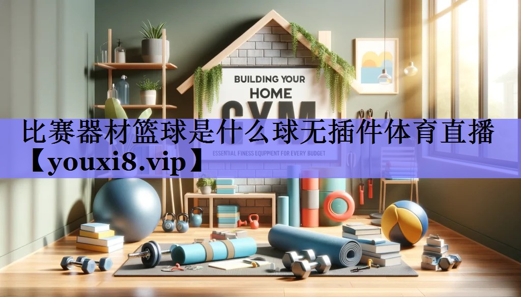 比赛器材篮球是什么球无插件体育直播