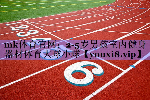 mk体育官网：2-5岁男孩室内健身器材体育大球小球