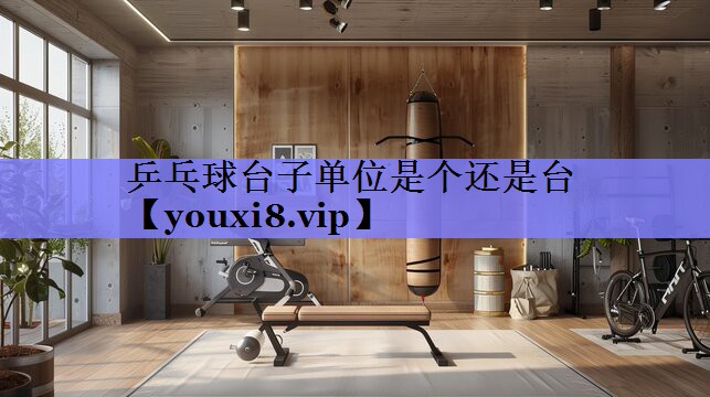 乒乓球台子单位是个还是台