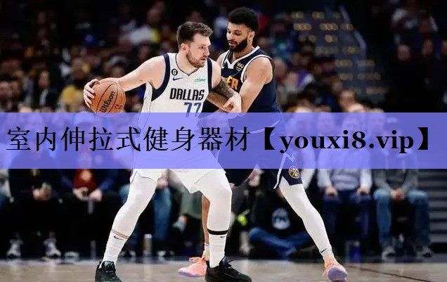 室内伸拉式健身器材